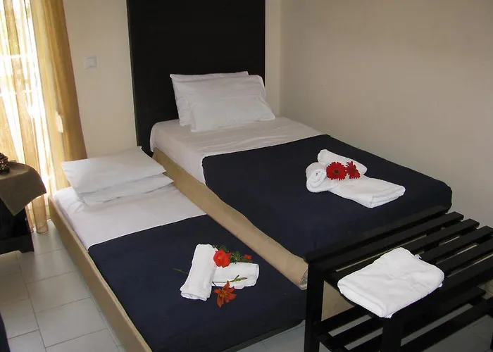 Kokkinos * ポトス